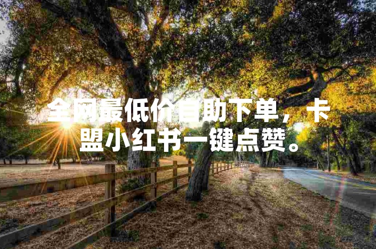 全网最低价自助下单，卡盟小红书一键点赞。