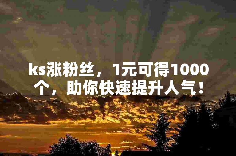 ks涨粉丝，1元可得1000个，助你快速提升人气！