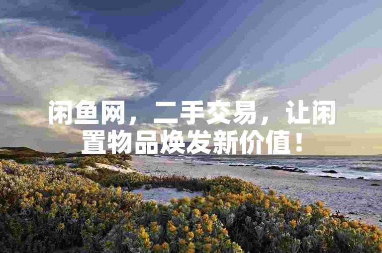 闲鱼网，二手交易，让闲置物品焕发新价值！