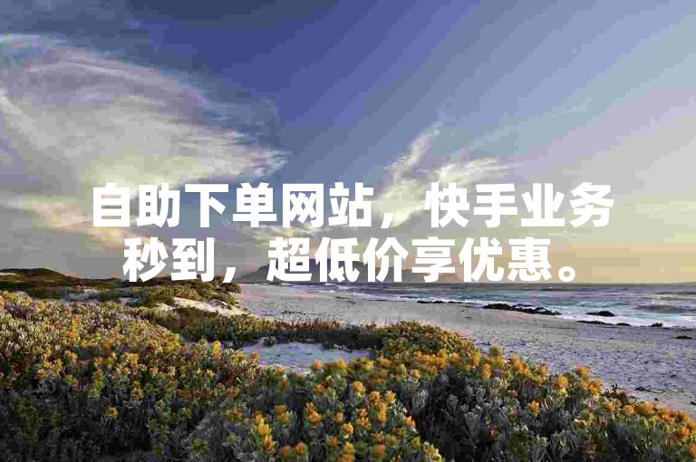 自助下单网站，快手业务秒到，超低价享优惠。
