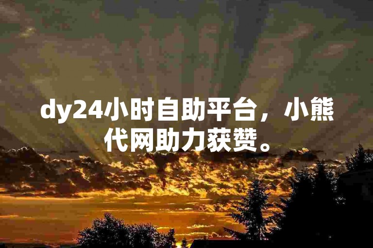 dy24小时自助平台，小熊代网助力获赞。
