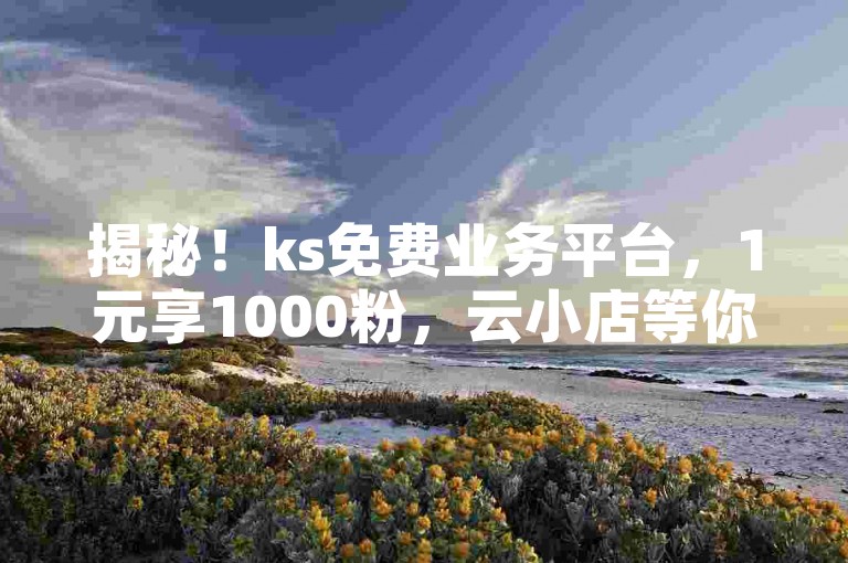 揭秘！ks免费业务平台，1元享1000粉，云小店等你下单。