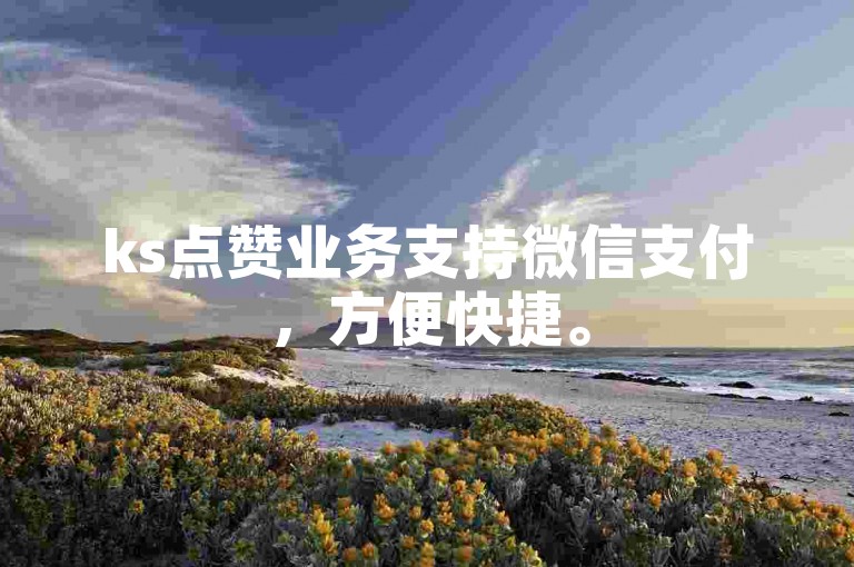 ks点赞业务支持微信支付，方便快捷。