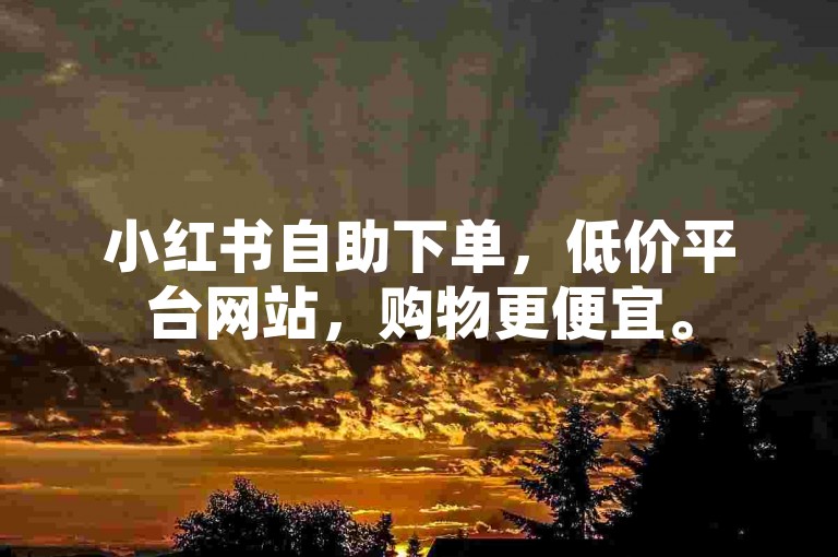 小红书自助下单，低价平台网站，购物更便宜。