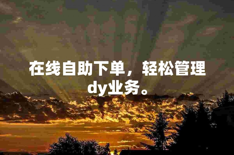 在线自助下单，轻松管理dy业务。