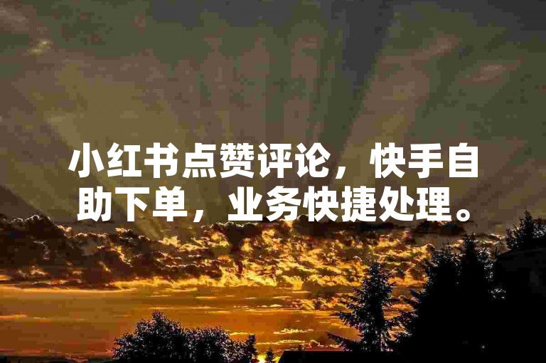 小红书点赞评论，快手自助下单，业务快捷处理。