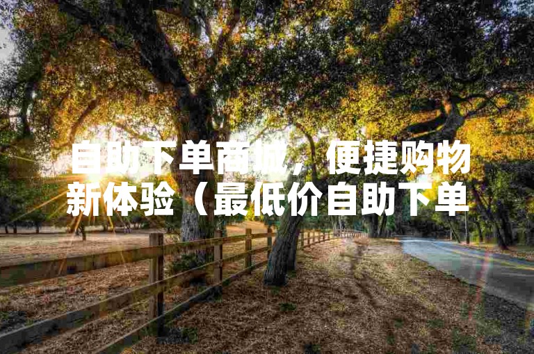 自助下单商城，便捷购物新体验（最低价自助下单商城，快速方便购物）