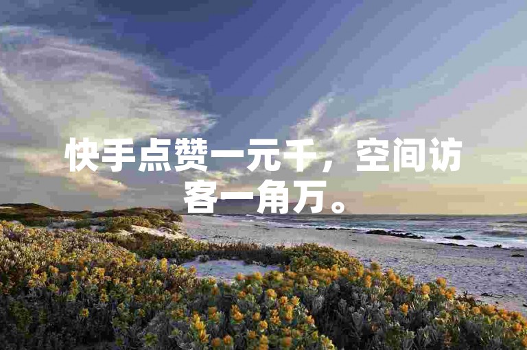 快手点赞一元千，空间访客一角万。