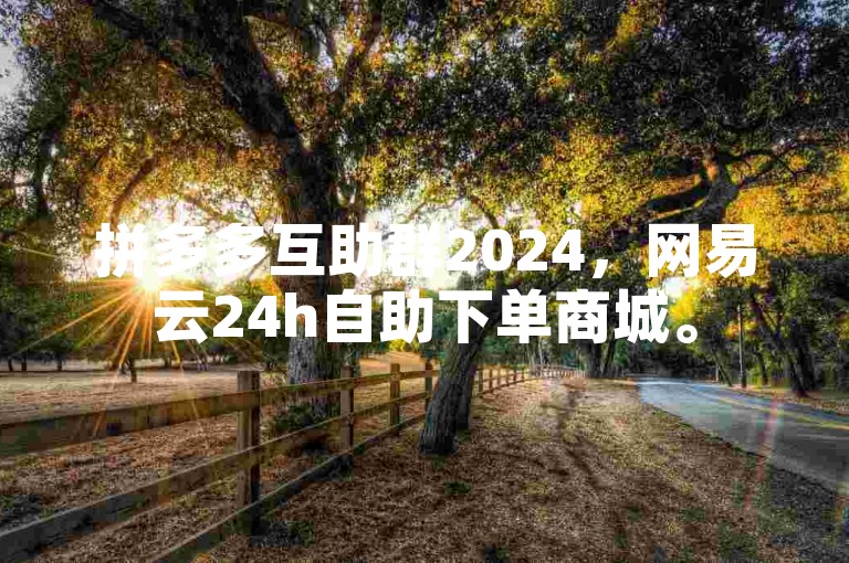 拼多多互助群2024，网易云24h自助下单商城。
