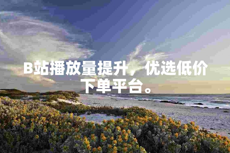 B站播放量提升，优选低价下单平台。
