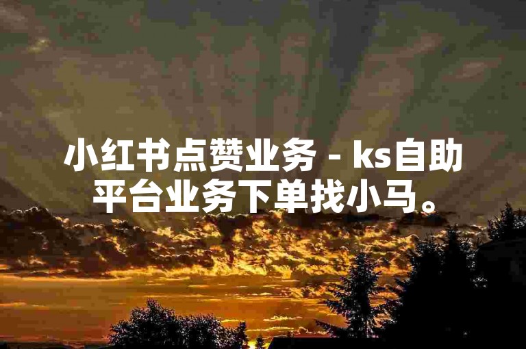 小红书点赞业务 - ks自助平台业务下单找小马。