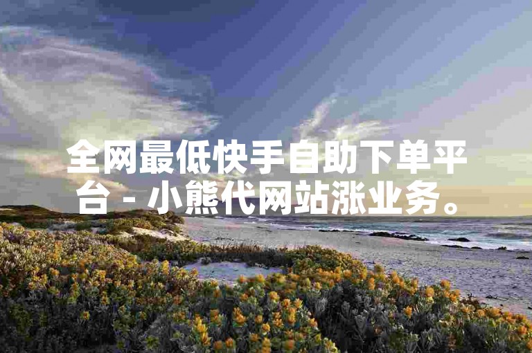 全网最低快手自助下单平台 - 小熊代网站涨业务。