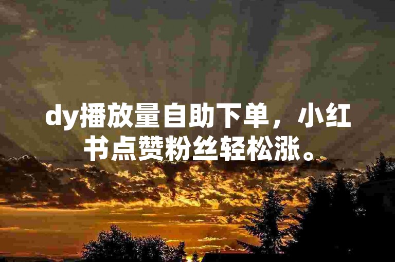 dy播放量自助下单，小红书点赞粉丝轻松涨。