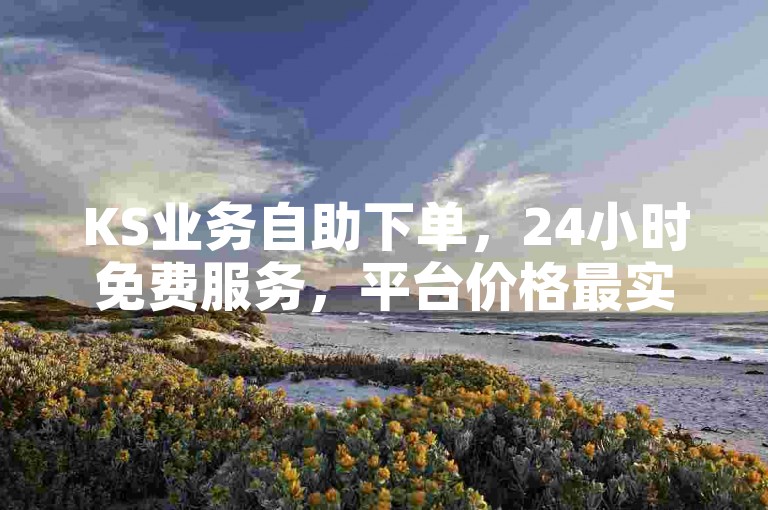 KS业务自助下单，24小时免费服务，平台价格最实惠。