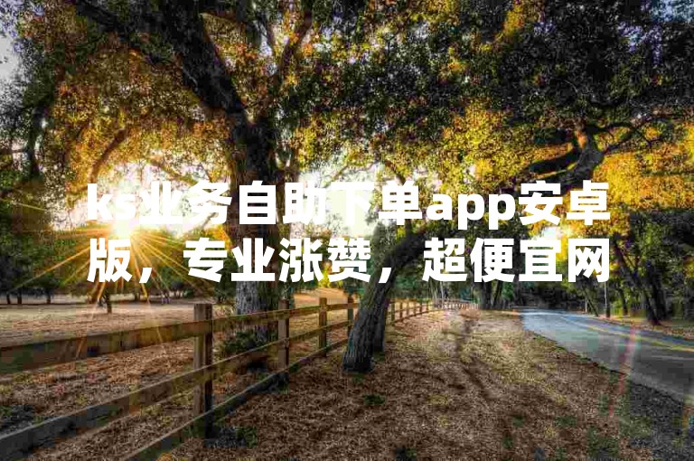 ks业务自助下单app安卓版，专业涨赞，超便宜网站。