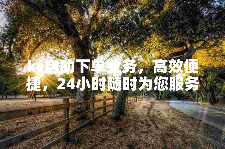 ks自助下单业务，高效便捷，24小时随时为您服务。