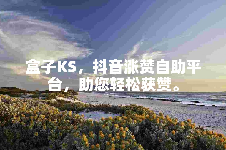 盒子KS，抖音涨赞自助平台，助您轻松获赞。