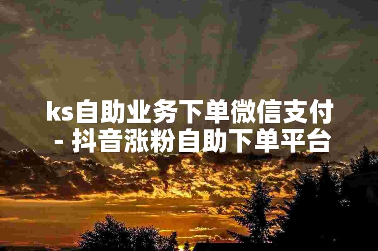 ks自助业务下单微信支付 - 抖音涨粉自助下单平台