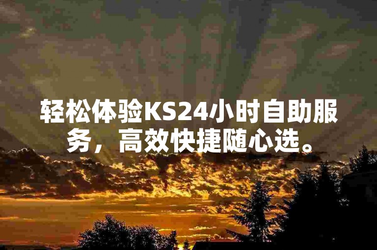 轻松体验KS24小时自助服务，高效快捷随心选。