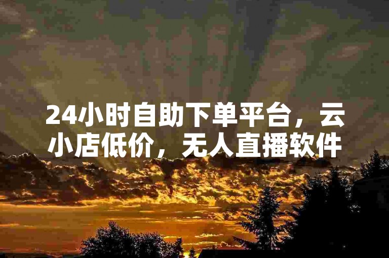 24小时自助下单平台，云小店低价，无人直播软件及AI视频制作工具丰富。