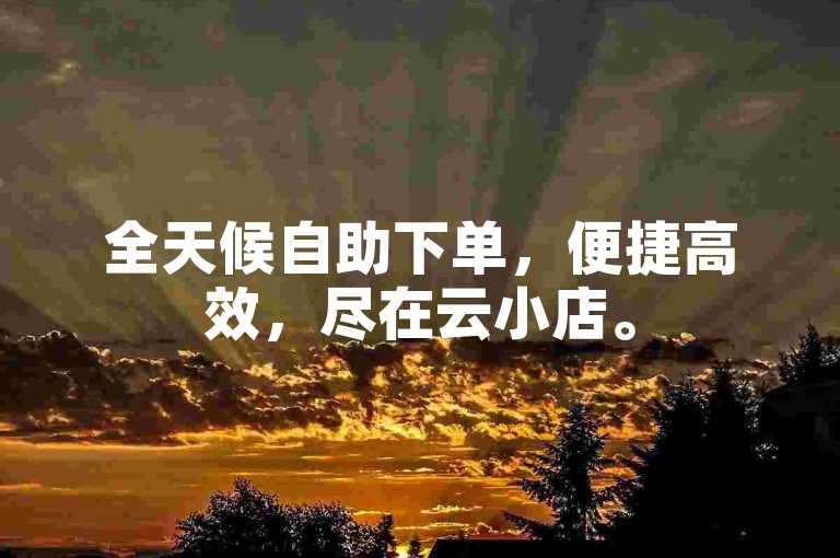 全天候自助下单，便捷高效，尽在云小店。