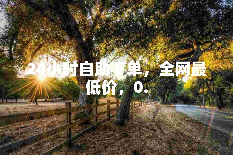 24小时自助下单，全网最低价，0.5元1000赞。