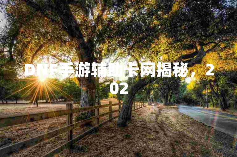 DNF手游辅助卡网揭秘，2025助你畅玩游戏！