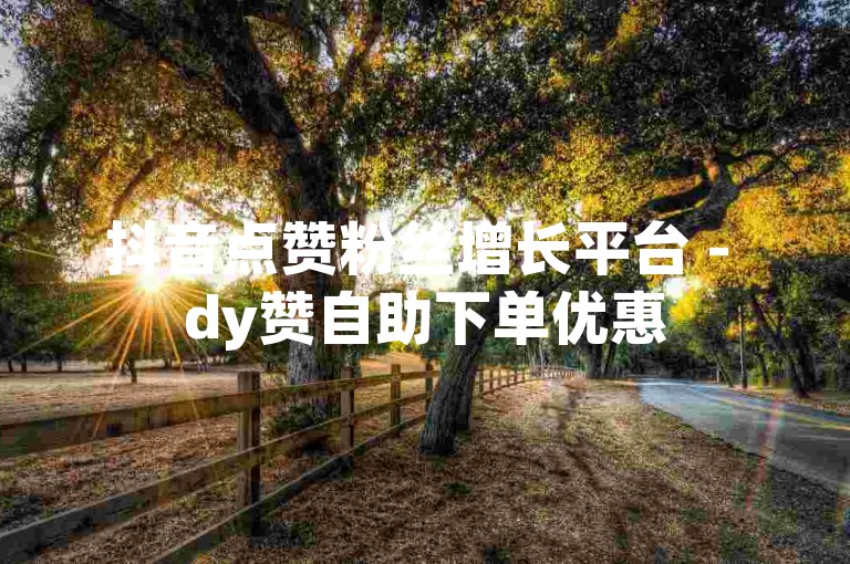抖音点赞粉丝增长平台 - dy赞自助下单优惠