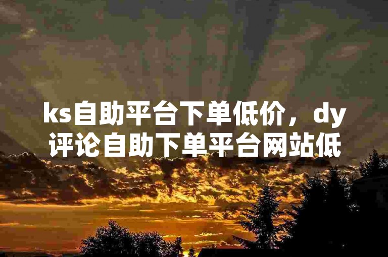 ks自助平台下单低价，dy评论自助下单平台网站低价。