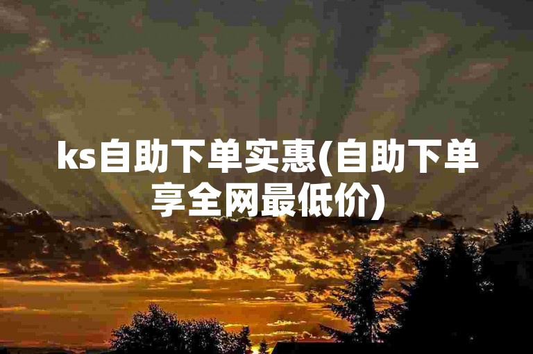 ks自助下单实惠(自助下单享全网最低价)