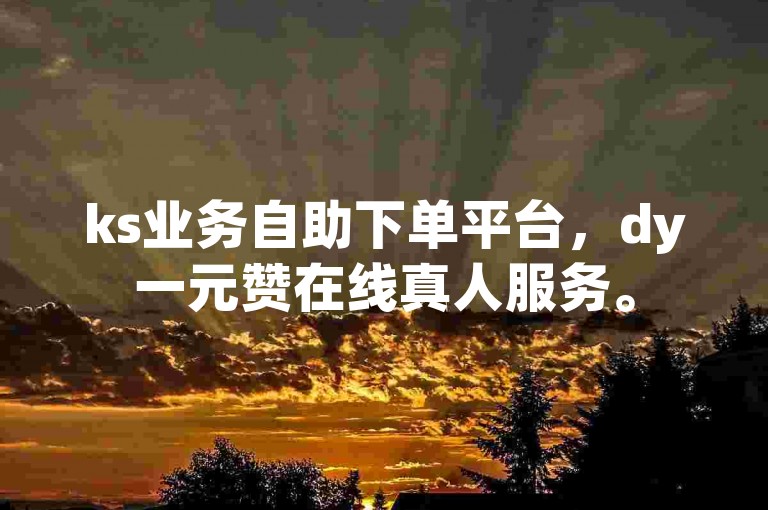 ks业务自助下单平台，dy一元赞在线真人服务。