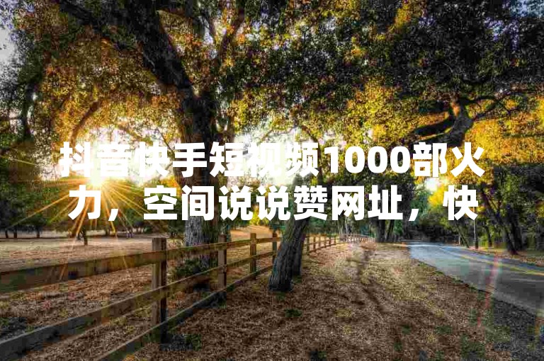 抖音快手短视频1000部火力，空间说说赞网址，快手粉丝不掉。
