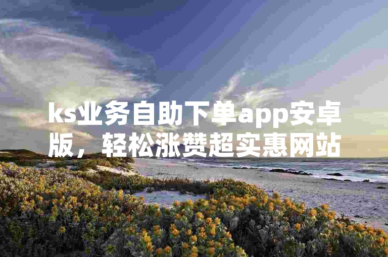 ks业务自助下单app安卓版，轻松涨赞超实惠网站。