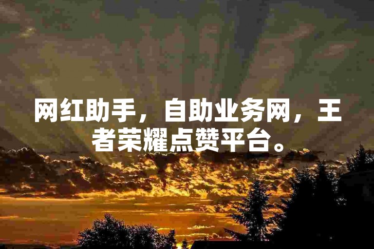 网红助手，自助业务网，王者荣耀点赞平台。