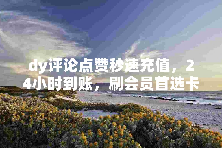 dy评论点赞秒速充值，24小时到账，刷会员首选卡盟。