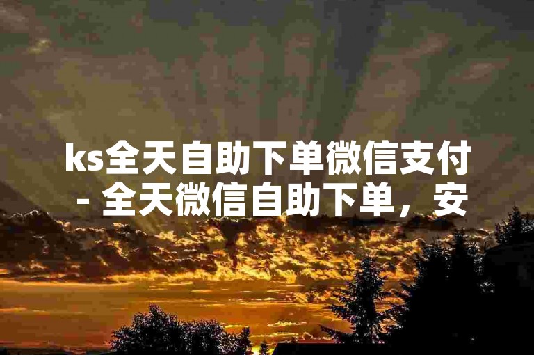ks全天自助下单微信支付 - 全天微信自助下单，安全快捷。