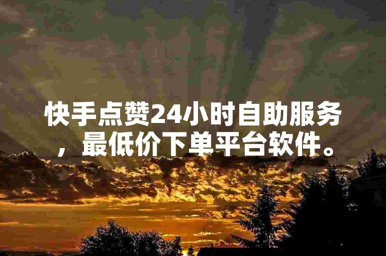 快手点赞24小时自助服务，最低价下单平台软件。