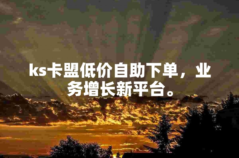 ks卡盟低价自助下单，业务增长新平台。
