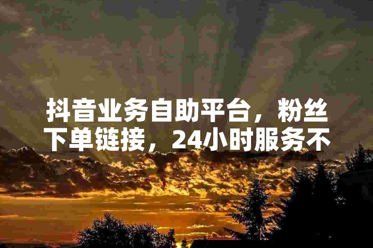 抖音业务自助平台，粉丝下单链接，24小时服务不停歇。