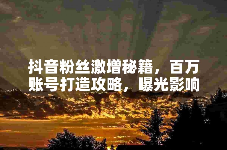 抖音粉丝激增秘籍，百万账号打造攻略，曝光影响力飙升技巧揭秘。