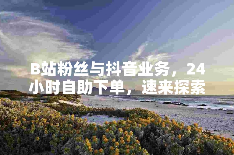 B站粉丝与抖音业务，24小时自助下单，速来探索平台入口！