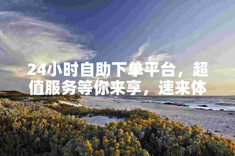 24小时自助下单平台，超值服务等你来享，速来体验！