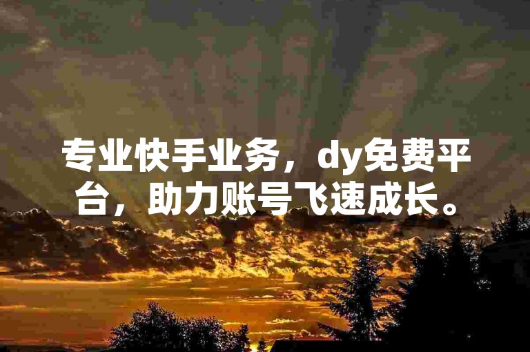 专业快手业务，dy免费平台，助力账号飞速成长。