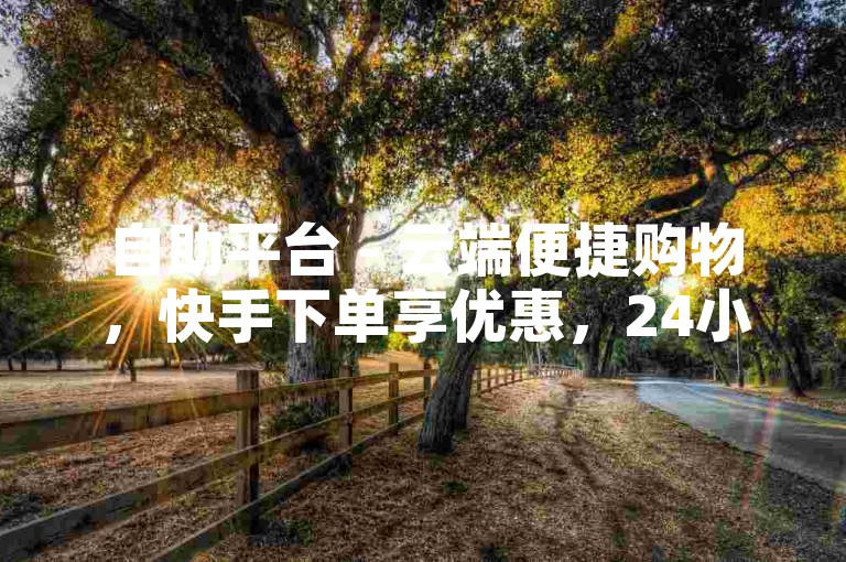自助平台 - 云端便捷购物，快手下单享优惠，24小时服务不停歇。