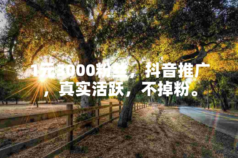 1元3000粉丝，抖音推广，真实活跃，不掉粉。