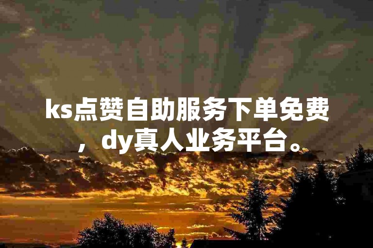 ks点赞自助服务下单免费，dy真人业务平台。