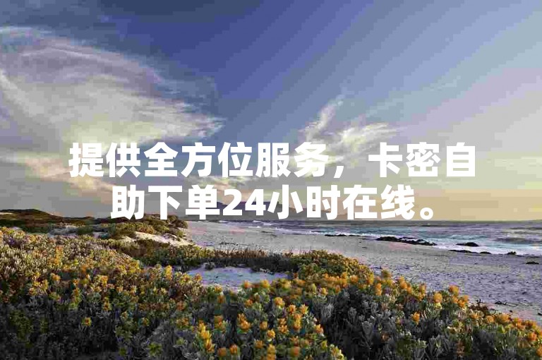 提供全方位服务，卡密自助下单24小时在线。