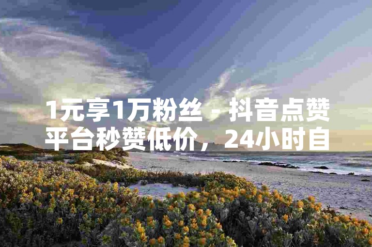 1元享1万粉丝 - 抖音点赞平台秒赞低价，24小时自助服务。