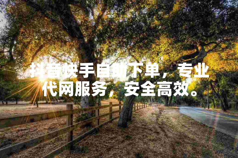 抖音快手自助下单，专业代网服务，安全高效。