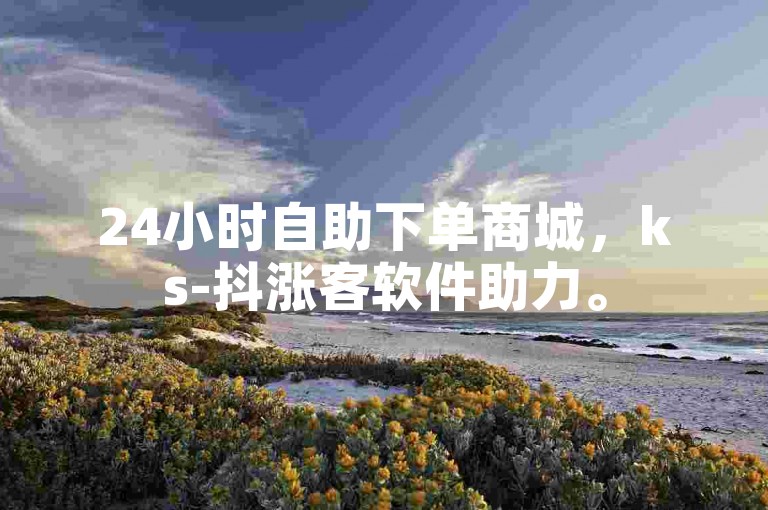 24小时自助下单商城，ks-抖涨客软件助力。